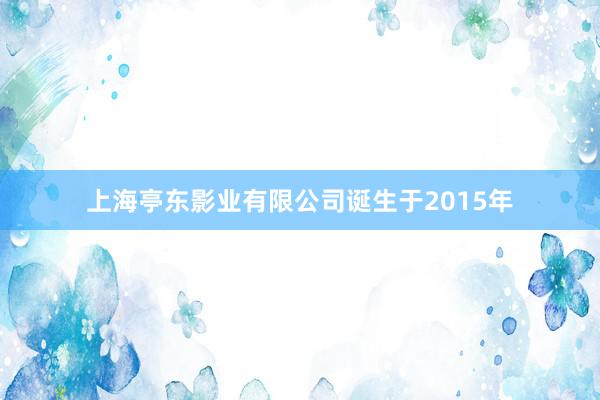 上海亭东影业有限公司诞生于2015年